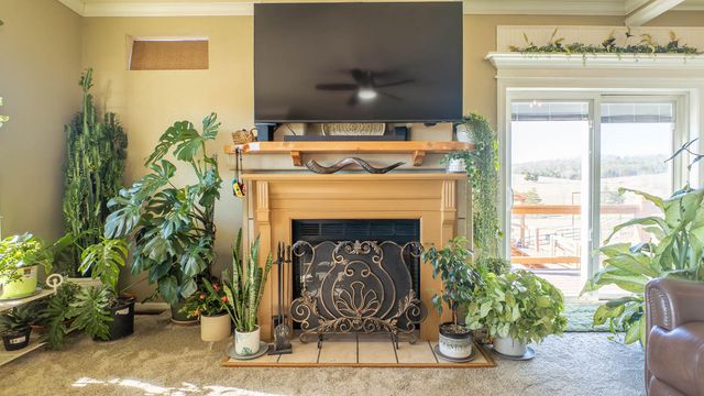 1986 County Road 504, Gainesville, MO 65655