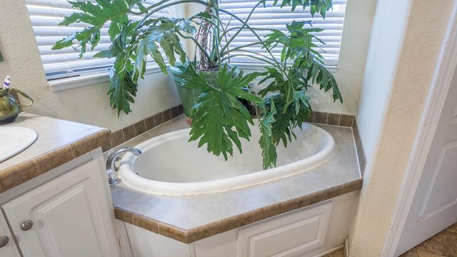 1986 County Road 504, Gainesville, MO 65655