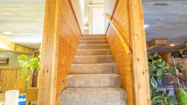 1986 County Road 504, Gainesville, MO 65655