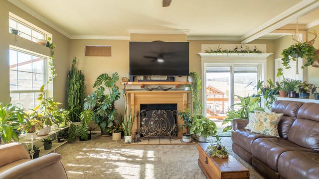 1986 County Road 504, Gainesville, MO 65655