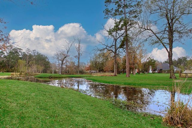 11827 Water Oak Drive, Magnolia, TX 77354