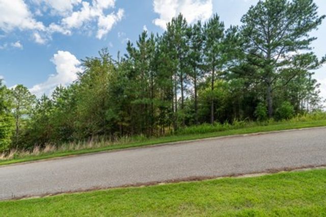 Lot 29 Sunset View, Blairsville, GA 30512
