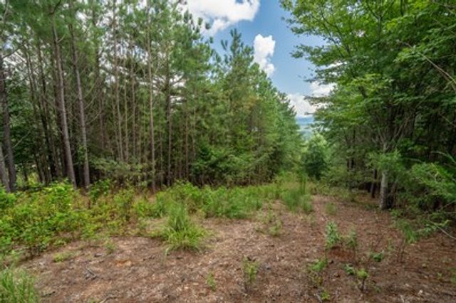 Lot 29 Sunset View, Blairsville, GA 30512