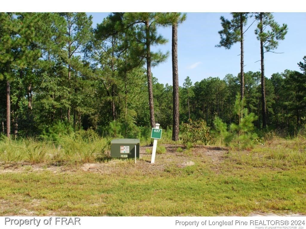 182 Broadlake (637) Lane, Spring Lake, NC 28390