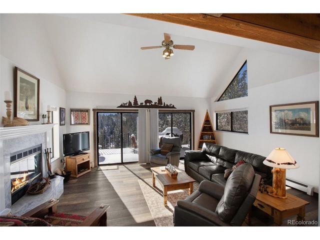 170 Ridge Rd, Divide, CO 80814