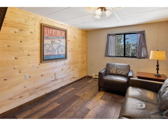 170 Ridge Rd, Divide, CO 80814