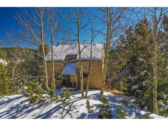 170 Ridge Rd, Divide, CO 80814