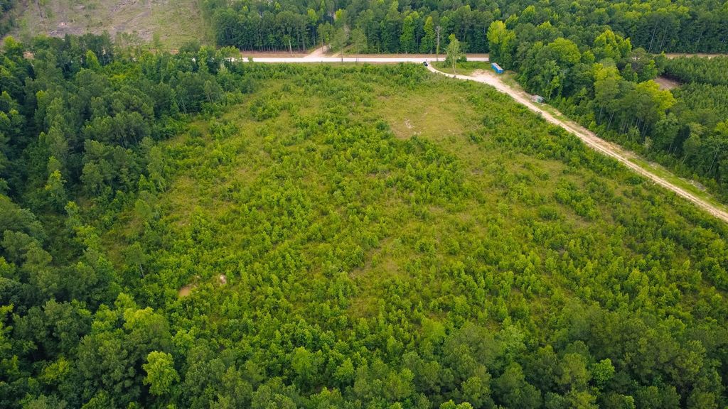 Lot C Fries Bay Rd., Loris, SC 29569 — photo 2