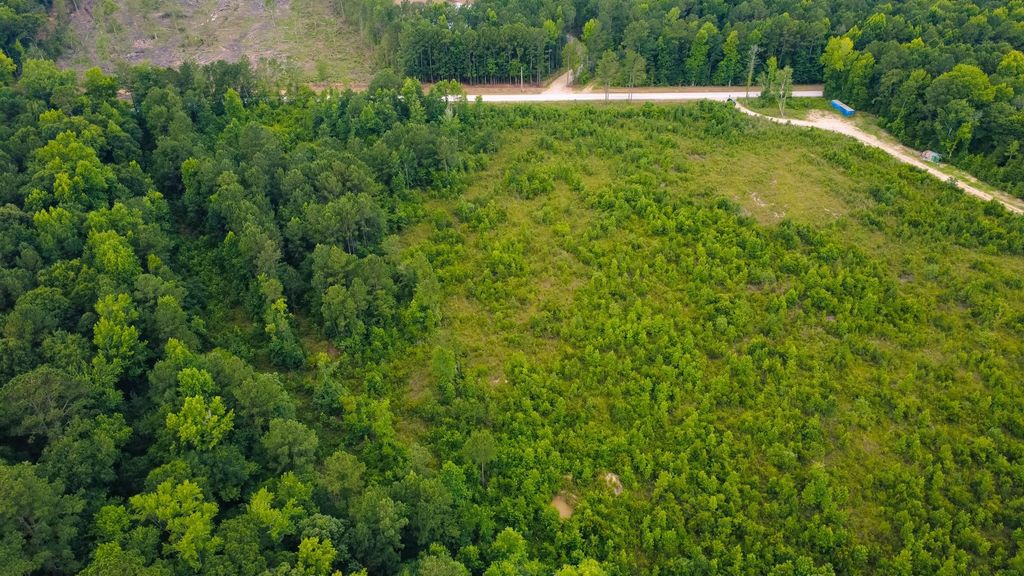 Lot C Fries Bay Rd., Loris, SC 29569 — photo 4
