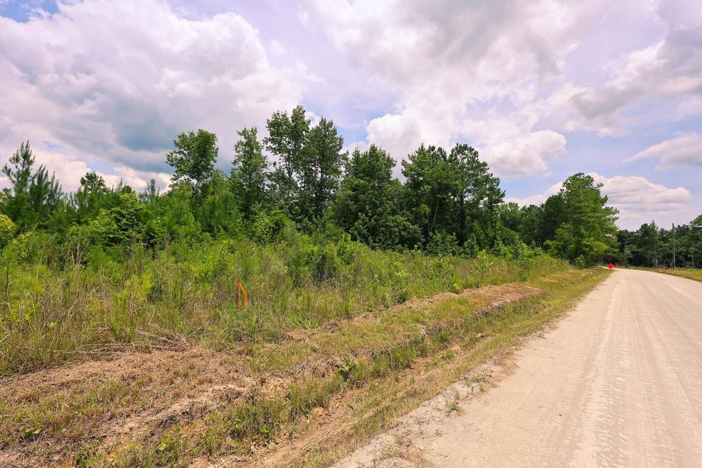 Lot C Fries Bay Rd., Loris, SC 29569 — photo 5