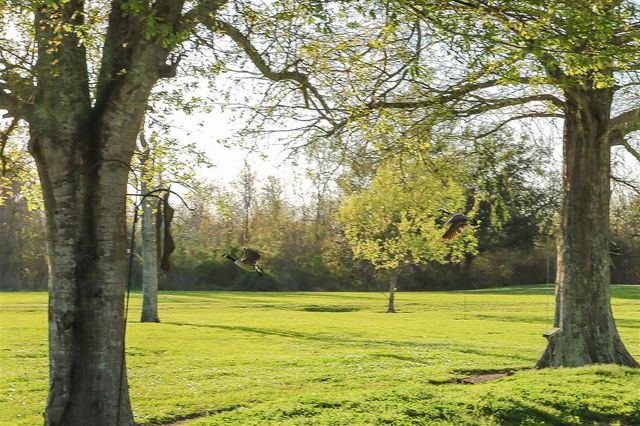 150 Junius Granger Road, Lake Charles, LA 70607