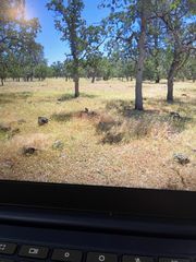 Campo Dios Rd Road, Shingletown, CA 96088