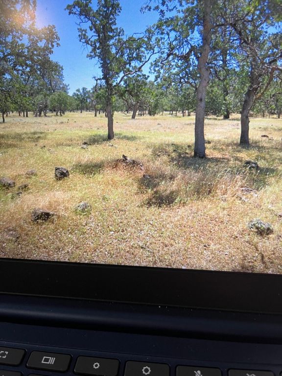 Campo Dios Rd Road, Shingletown, CA 96088