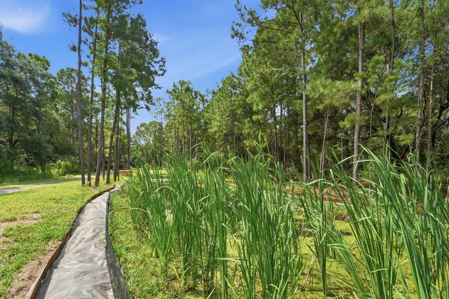 0 Holly Creek Road Lot 4a, Charleston, SC 29412