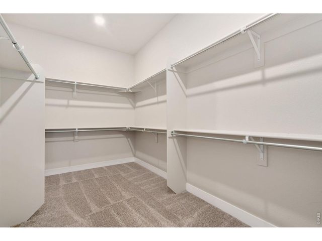 1232 Kitchel Lake Pkwy, Timnath, CO 80547