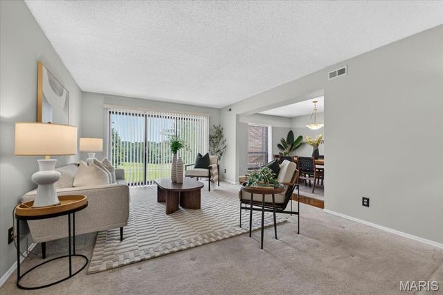 564 Sarah Lane 104, St Louis, MO 63141