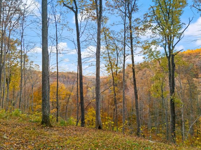 271 Lookout Lane, Jeffersonville, KY 40337