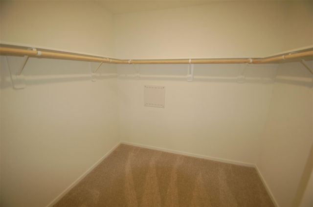 16215 Domestic Dove Way, Hockley, TX 77447