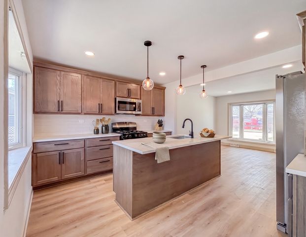 127 N Cedar Lane, Glenwood, IL 60425