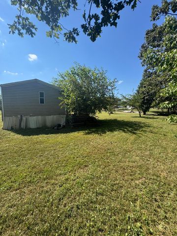 1211 Stub Street, Mountain View, MO 65548