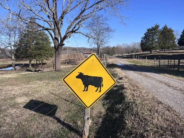 2160 Cedar Grove Rd, Lebanon, TN 37087