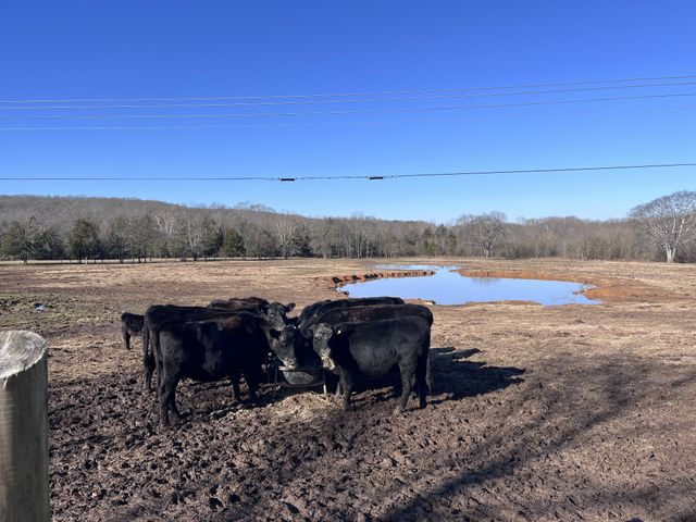 2160 Cedar Grove Rd, Lebanon, TN 37087