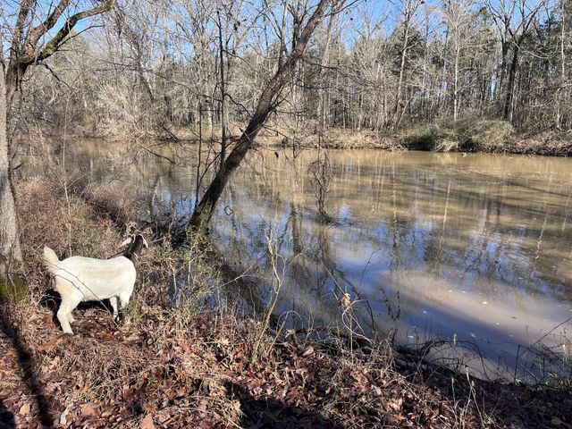 2160 Cedar Grove Rd, Lebanon, TN 37087