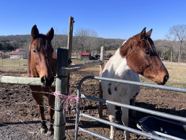 2160 Cedar Grove Rd, Lebanon, TN 37087