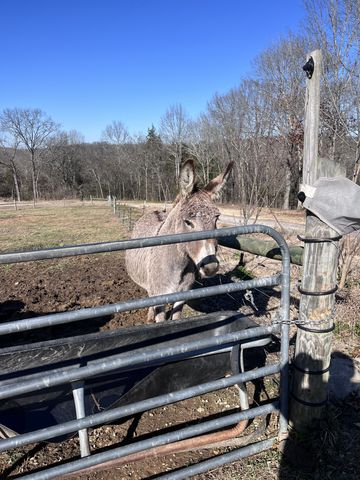 2160 Cedar Grove Rd, Lebanon, TN 37087