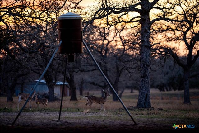 104 Longhorn Road, Stockdale, TX 78160