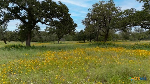 104 Longhorn Road, Stockdale, TX 78160