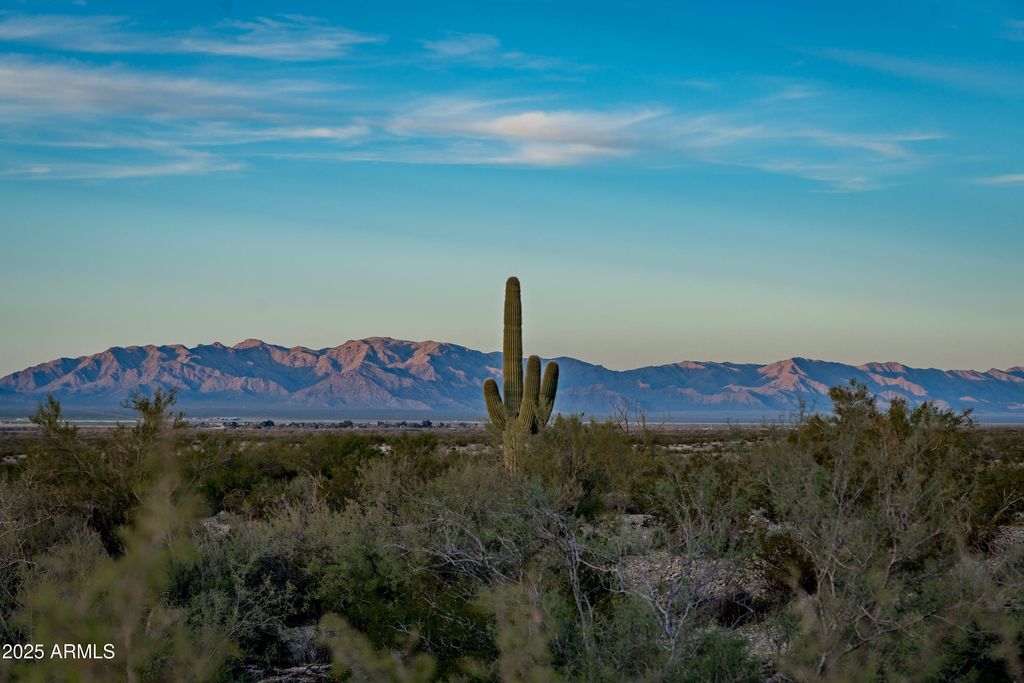 Image 79 of property listing at 69182 N Centennial Park Road, Salome, AZ 85348