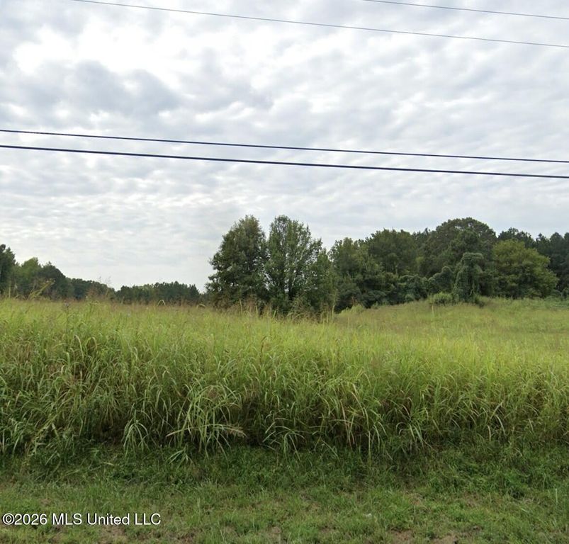 46 Dean Road, Lake Cormorant, MS 38641 — exterior