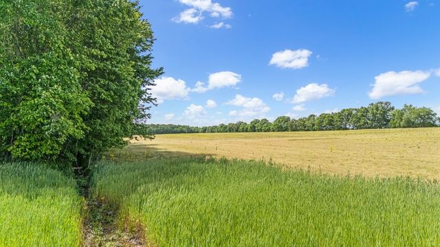 3249 Fredonia Rd, Manchester, TN 37355