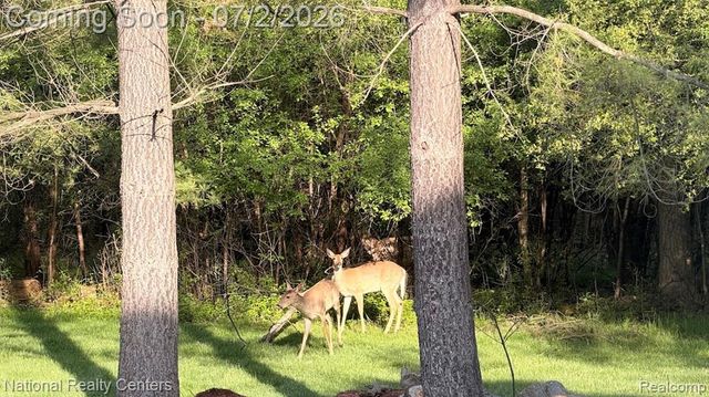 30055 Forest Drive, Franklin, MI 48025