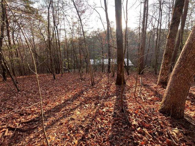 615 Gunstock Creek Lane, Ellijay, GA 30540