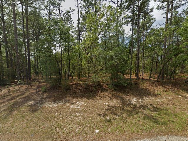 1022 W CARY DRIVE, Citrus Springs, FL 34434