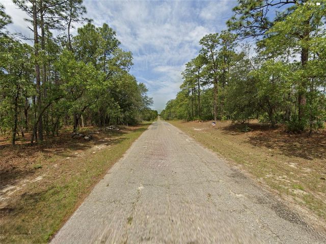 1022 W CARY DRIVE, Citrus Springs, FL 34434