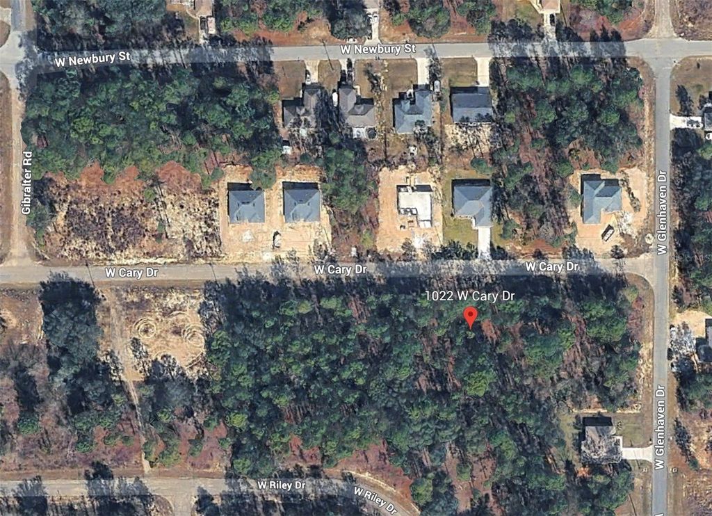 1022 W CARY DRIVE, Citrus Springs, FL 34434