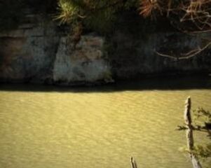 6,7,8 CR 1719, London, AR 72847