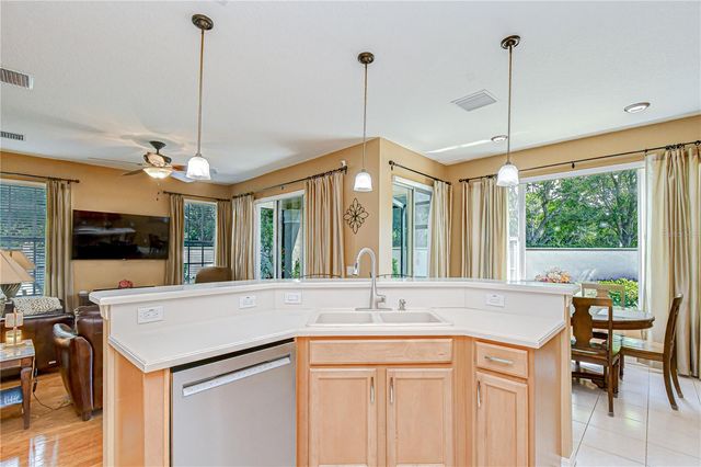 14507 MIRABELLE VISTA CIRCLE, Tampa, FL 33626