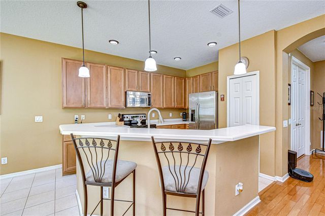 14507 MIRABELLE VISTA CIRCLE, Tampa, FL 33626