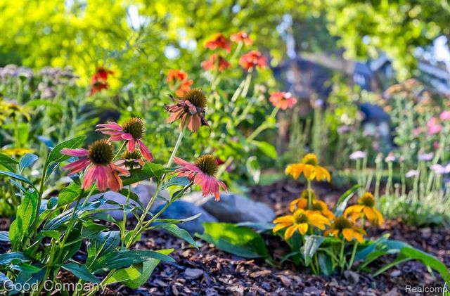 19 Oakdale Boulevard, Pleasant Ridge, MI 48069