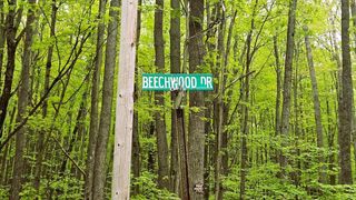 322-328 Beechwood Drive, Roscommon, MI 48653