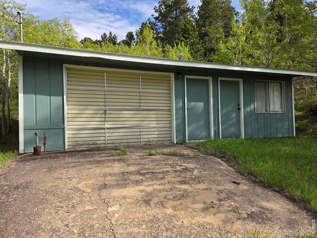 328 N Skinner Road, Allenspark, CO 80510