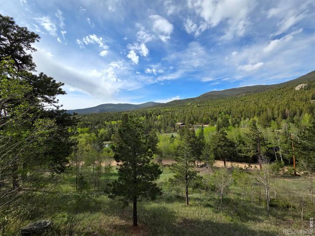 328 N Skinner Road, Allenspark, CO 80510