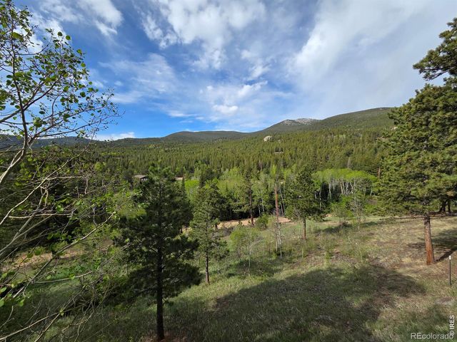 328 N Skinner Road, Allenspark, CO 80510