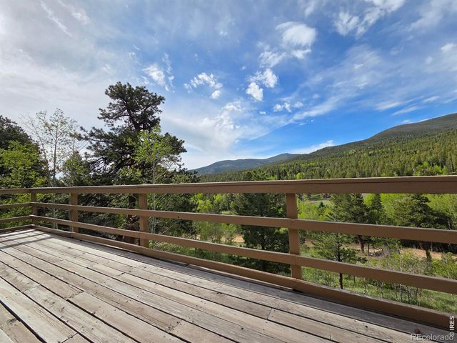 328 N Skinner Road, Allenspark, CO 80510