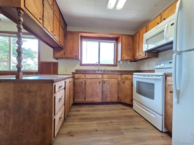 328 N Skinner Road, Allenspark, CO 80510
