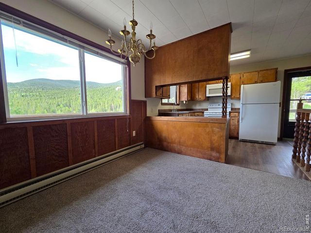 328 N Skinner Road, Allenspark, CO 80510